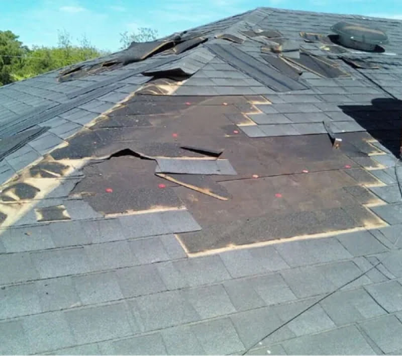 Roof damaged by a fallen tree branch before emergency repair